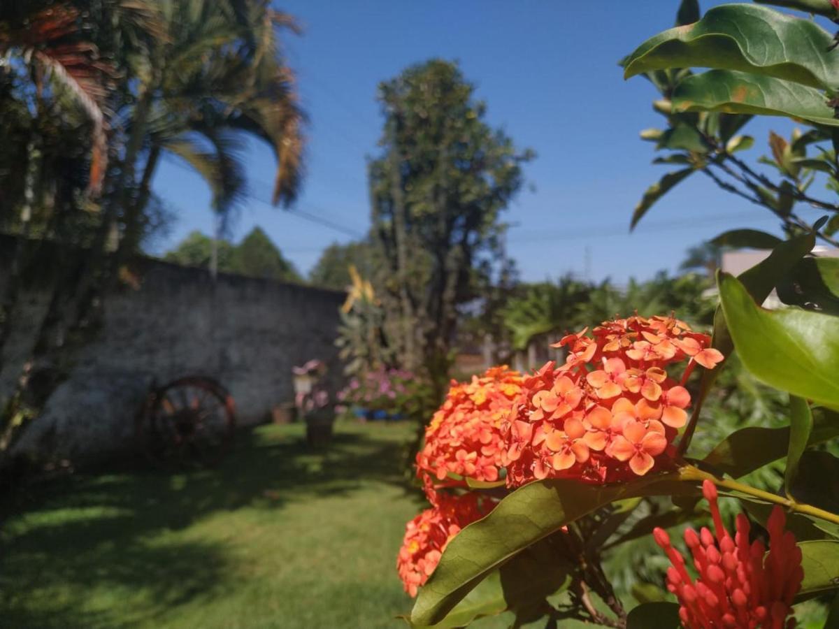 Pousada Das Orquideas Foz Foz do Iguaçu Zewnętrze zdjęcie