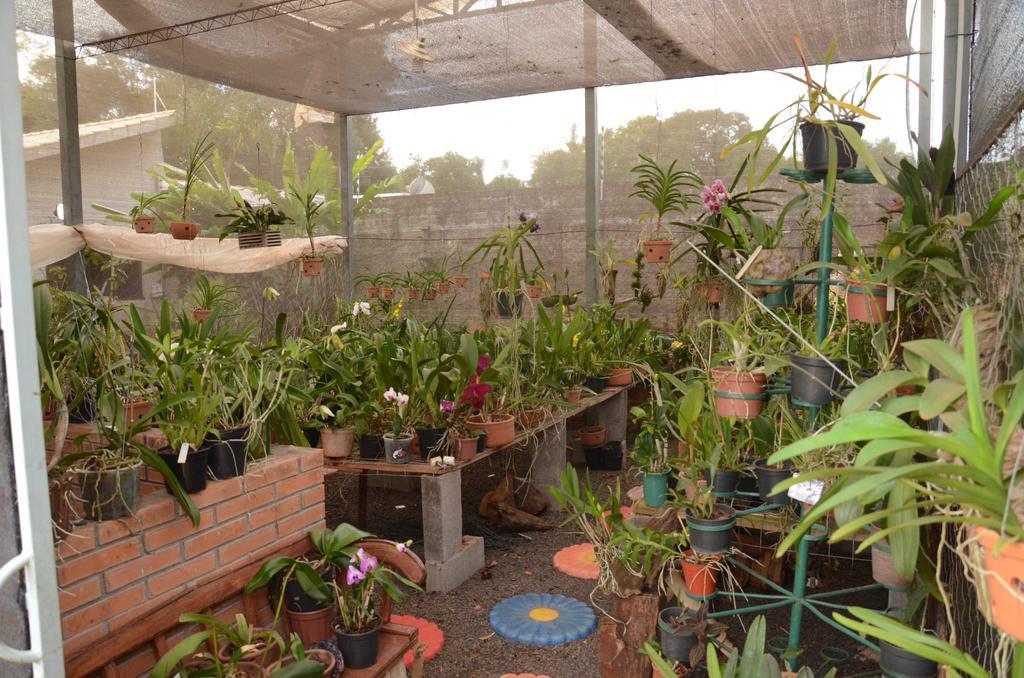 Pousada Das Orquideas Foz Foz do Iguaçu Zewnętrze zdjęcie